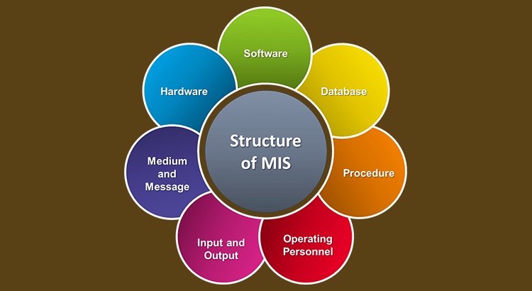 What is the full form of MIS?