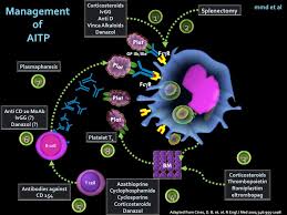 What is the full form of ITP?