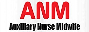 What is the full form of ANM?