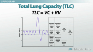 What is the full form of TLC?